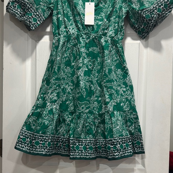 Lilly Pulitzer Green Floral Dress - Picture 2 of 9
